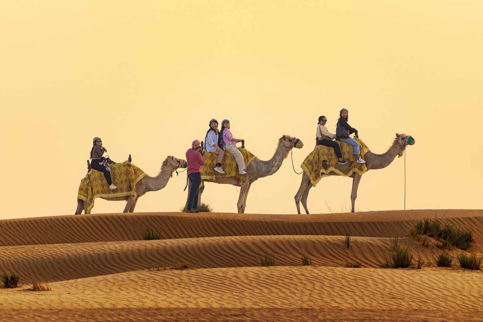 Camel Trekking Desert, Dubai