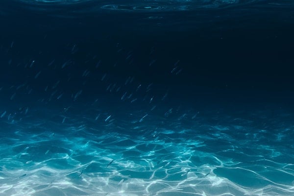 Dubai Aquarium: Penguin Cove Experience, Dubai
