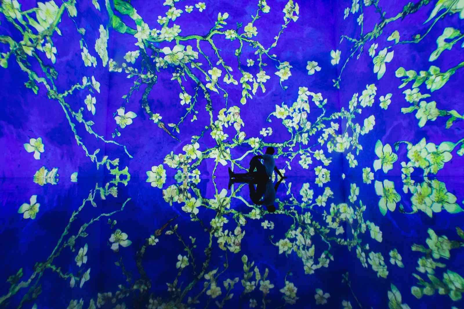 Theatre of Digital Art, Dubai